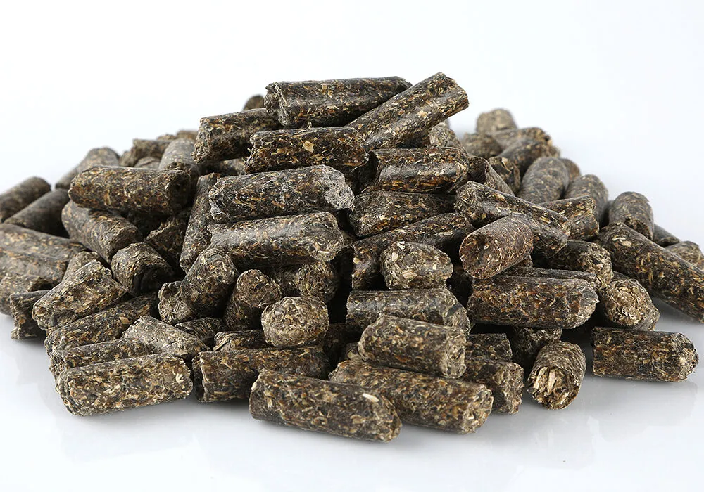 What is Sunflower Seed Meal (SSM)? Nutritional Values and Uses