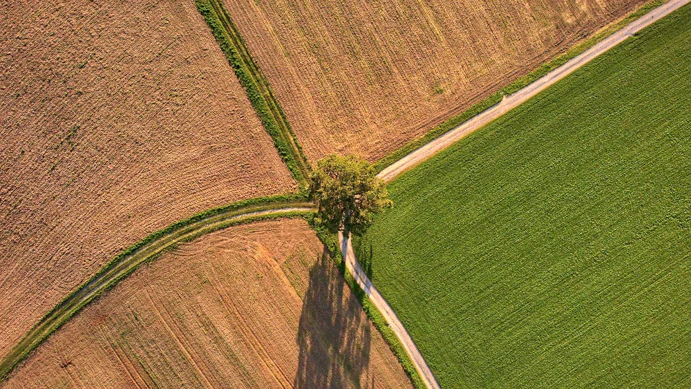 Polatlı TMO, Haymana TMO ve Ankara Bölgesinde Yem ve Hububat Ürünleri