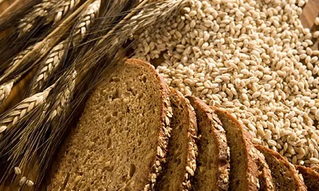 Polatlı TMO, Haymana TMO ve Yemlik Buğday Ticareti